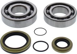 All Balls Krukaslager Set 24-1118